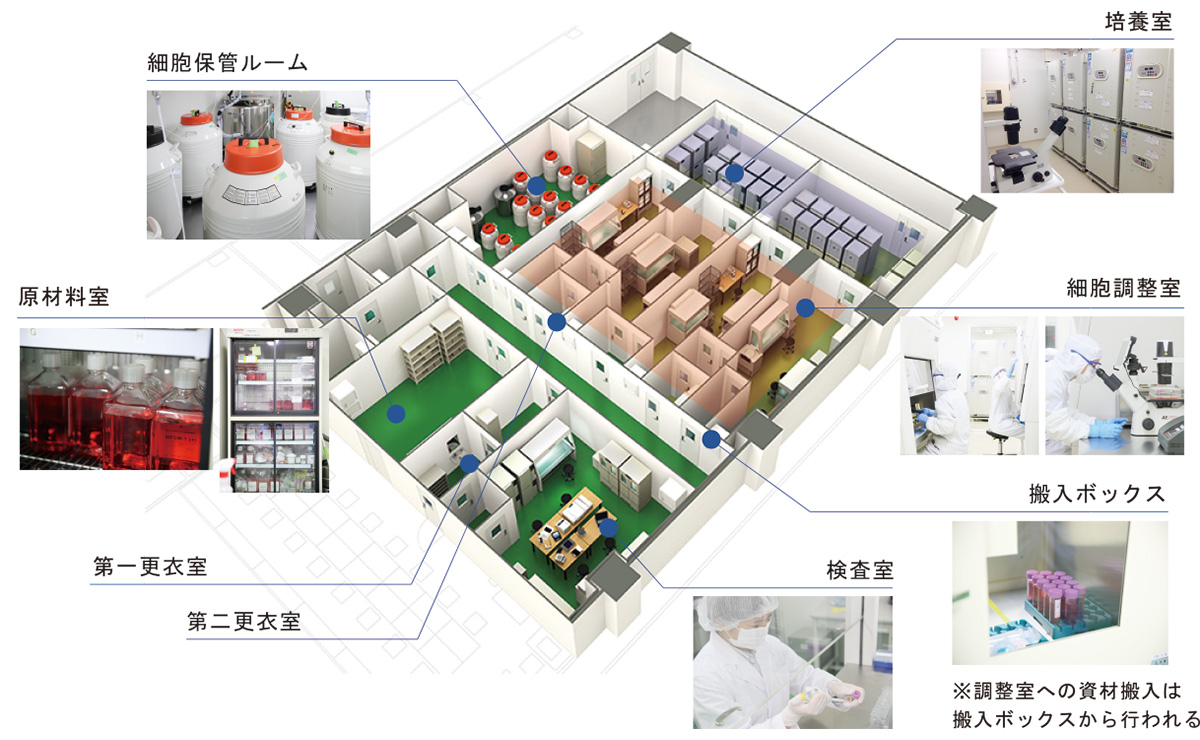 CPCセルバンクの概要図