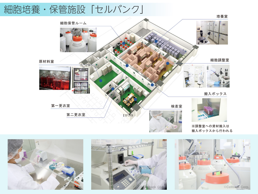 セルバンクの施設イメージ