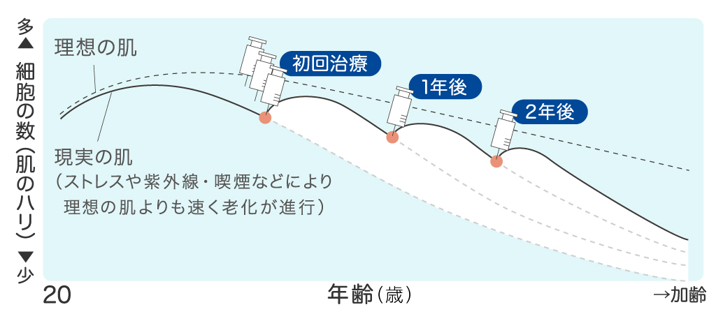 真皮線維芽細胞療法の効果